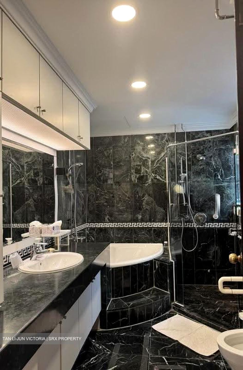 Yong An Park (D9), Condominium #617150211